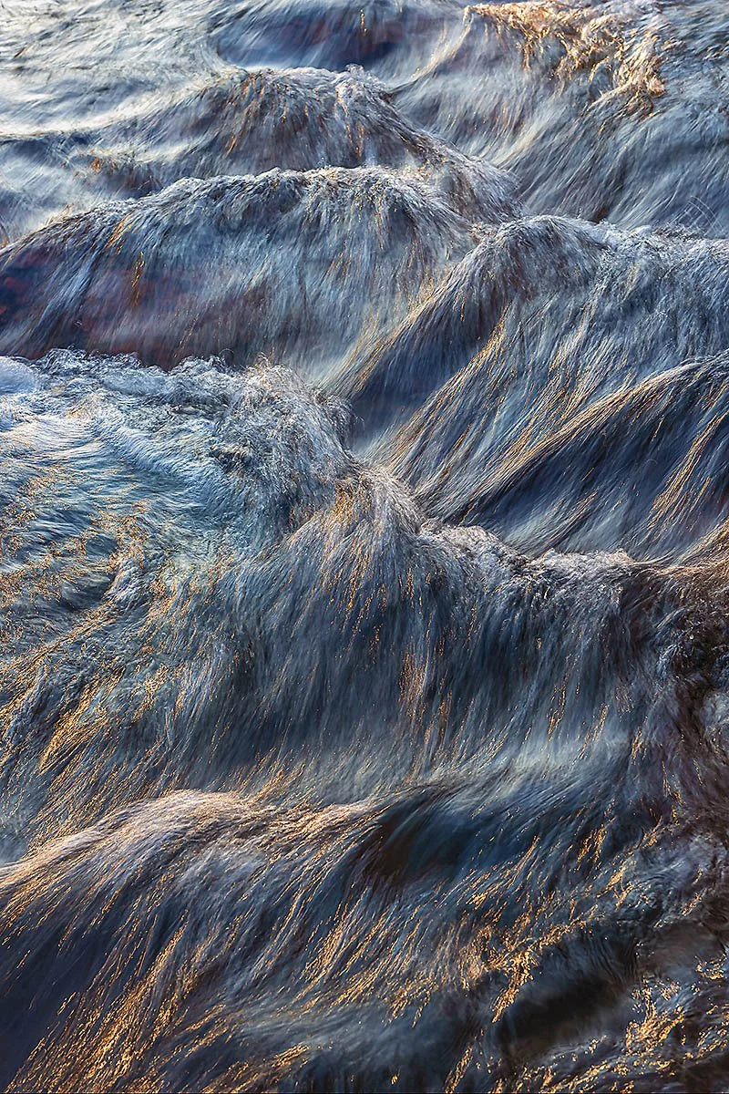 In the Beginning.jpg