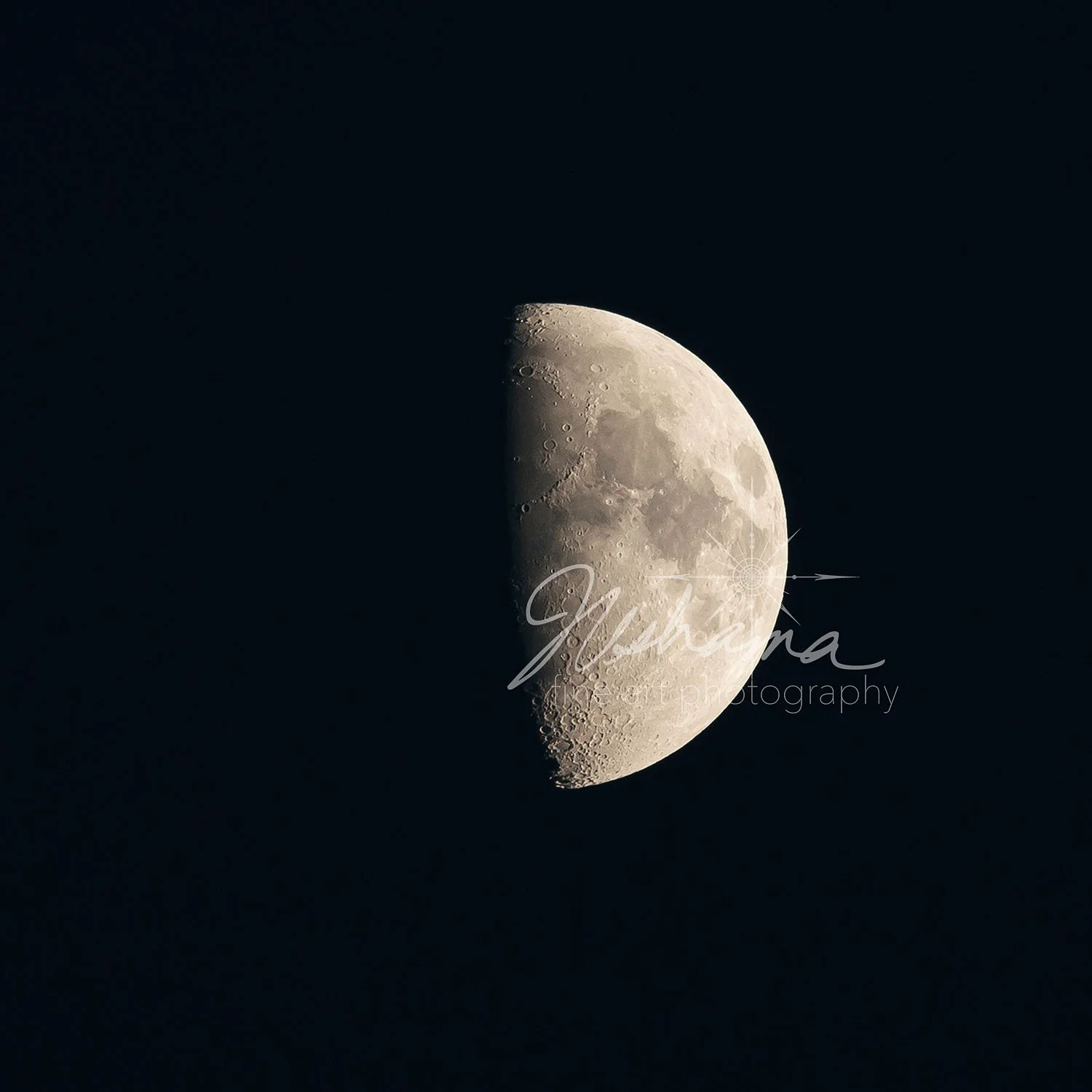 First Quarter Night | Saint Louis, MO