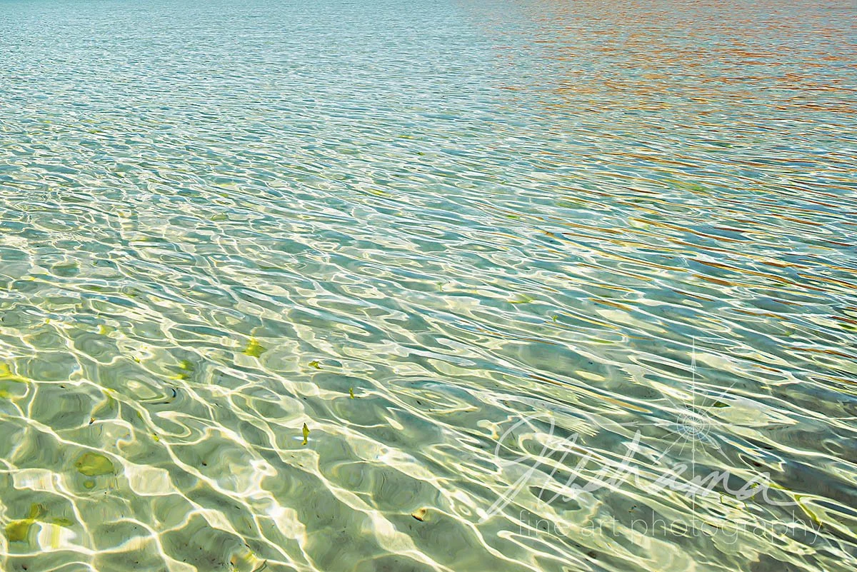 Playful Light | Playa Balandra, Baja California Sur, La Paz, Mexico