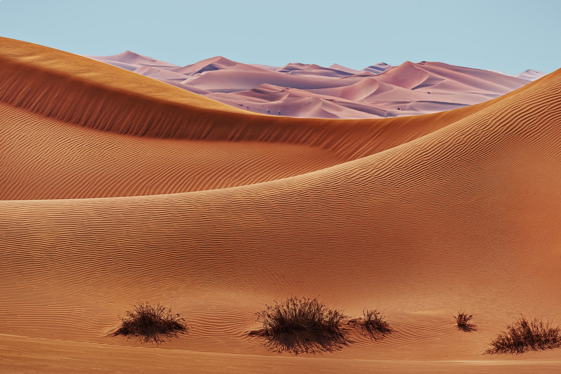 Swinging Sand Dunes.jpg