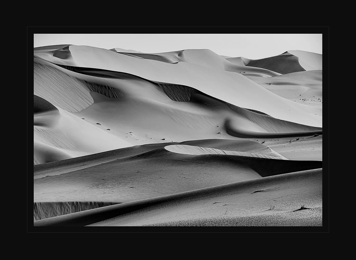 Sterling Sands | 2025 PPA Merit Award