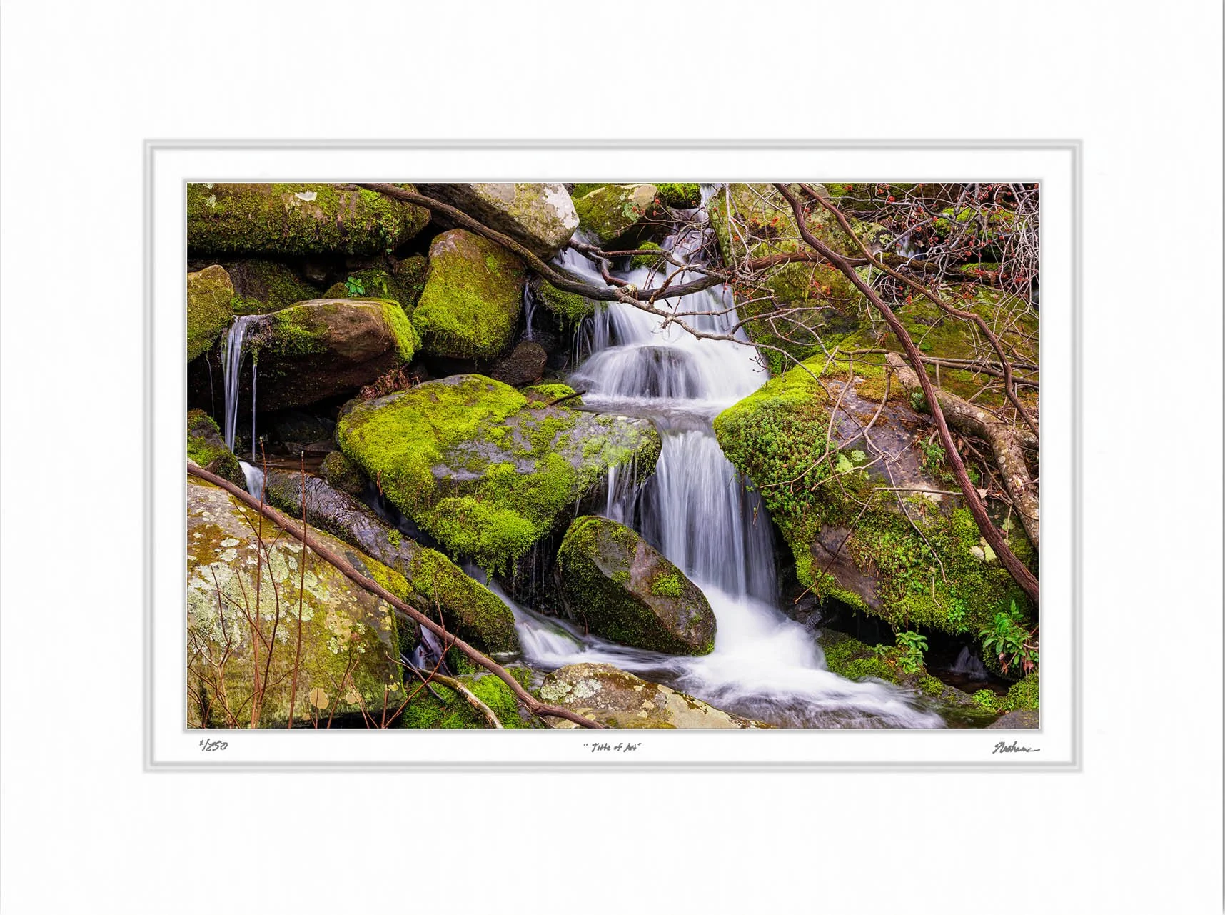 Hillside Cascade.jpg