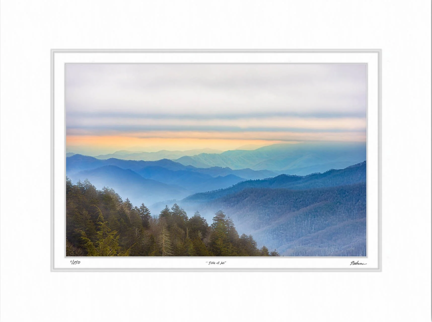 Fog in the Smokies.jpg