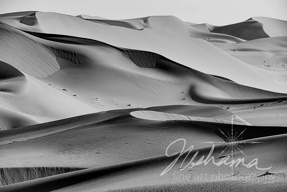 Sterling Sands | Liwa Desert, United Arab Emirates | 2025 PPA MERIT AWARD