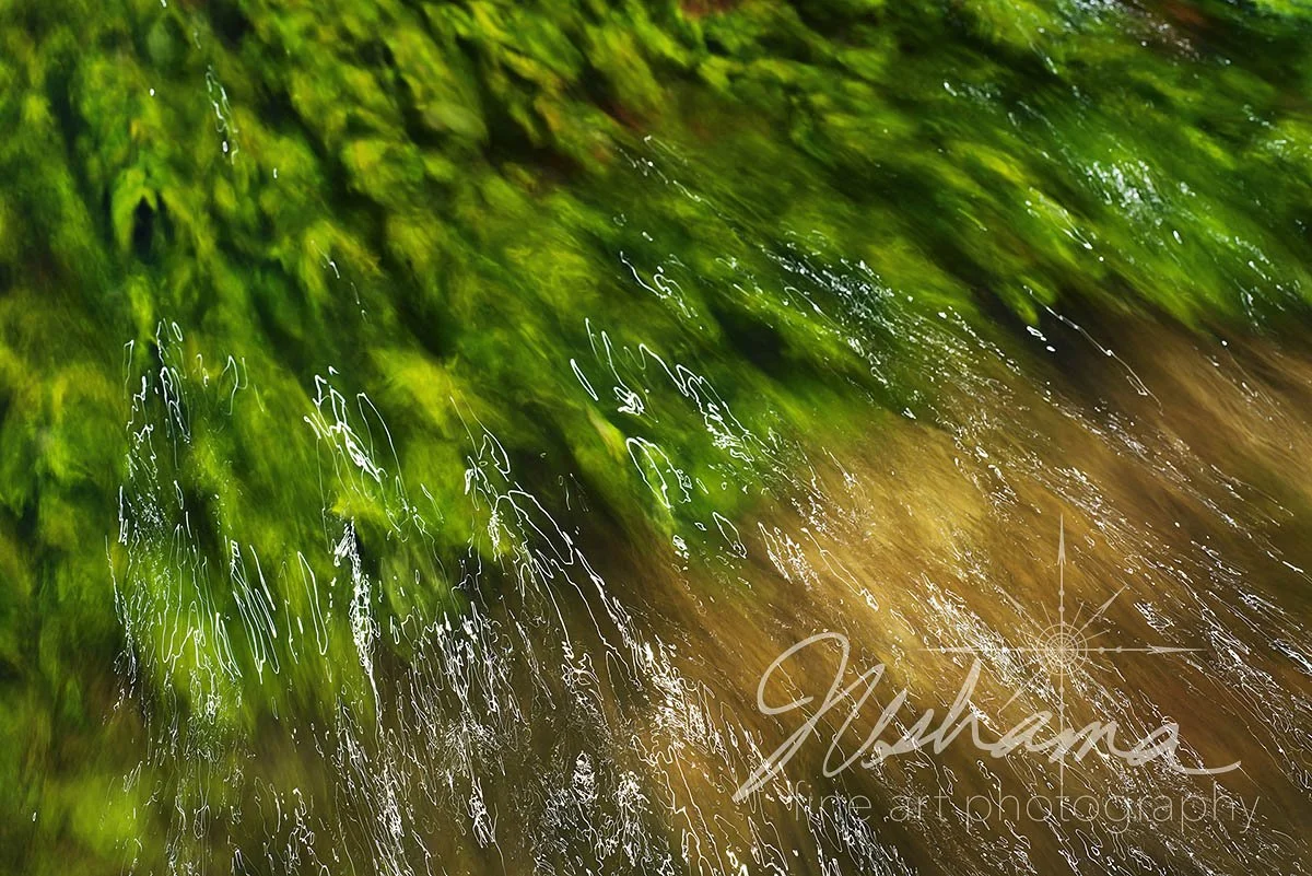 Watercress with Dancing Light | Ozark National Scenic Riverways, MO