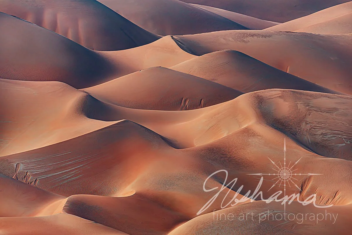 Shadow Dance | Liwa Desert, United Arab Emirates