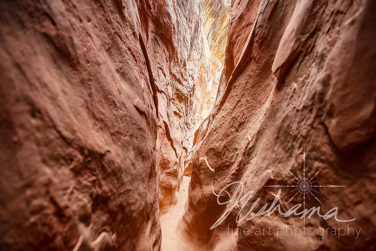 Little Wild Horse Canyon | Utah