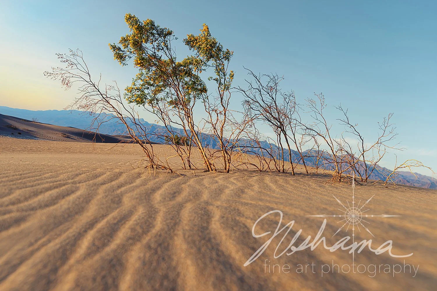 Death Valley Drifters | Death Valley National Park, CA