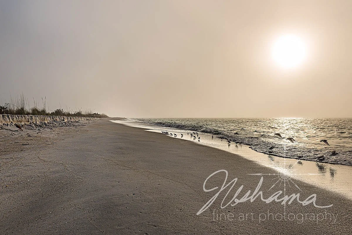 Foggy Sunset on Cayo Costa Island | Cayo Costa State Park, FL