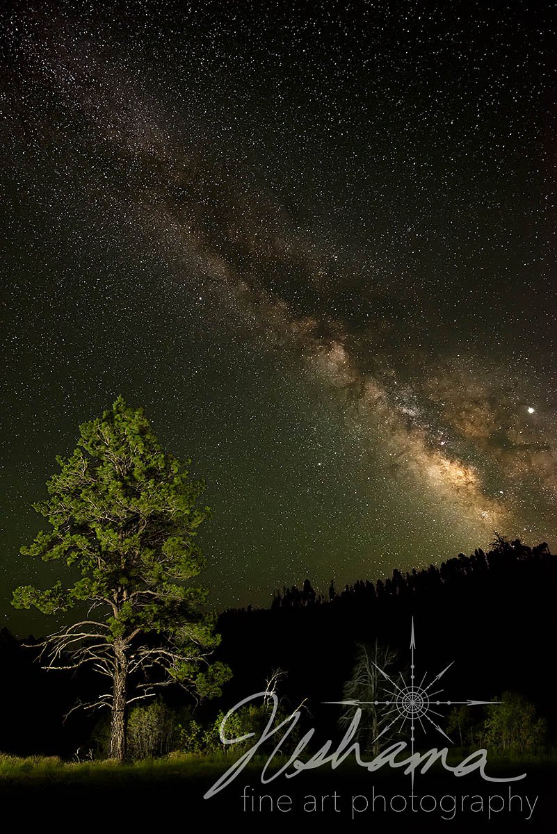 Milky Way on the West Rim Trail | Zion National Park, UT