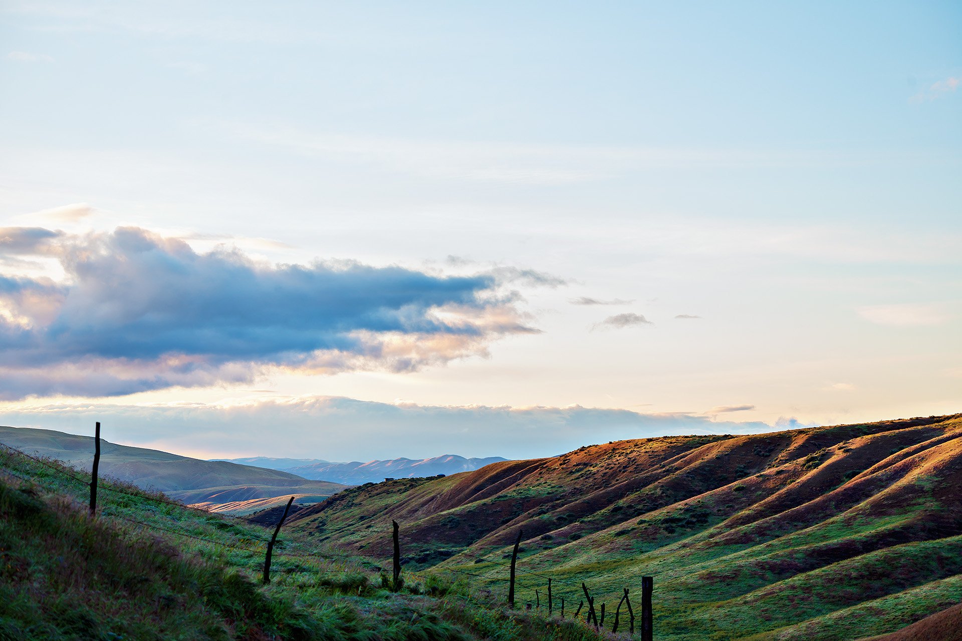 Velvet Hills | Carrizo Plain National Monument, CA 