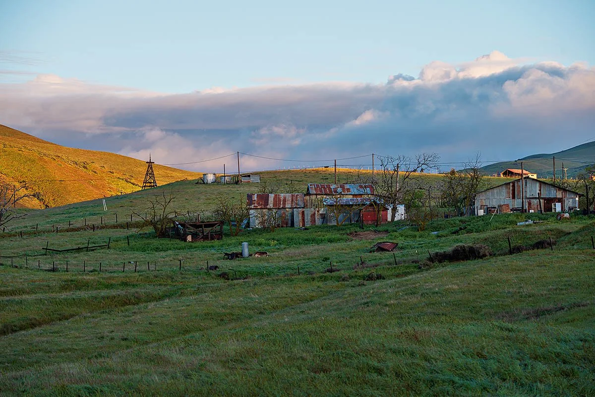 Quiet Countryside Website.jpg