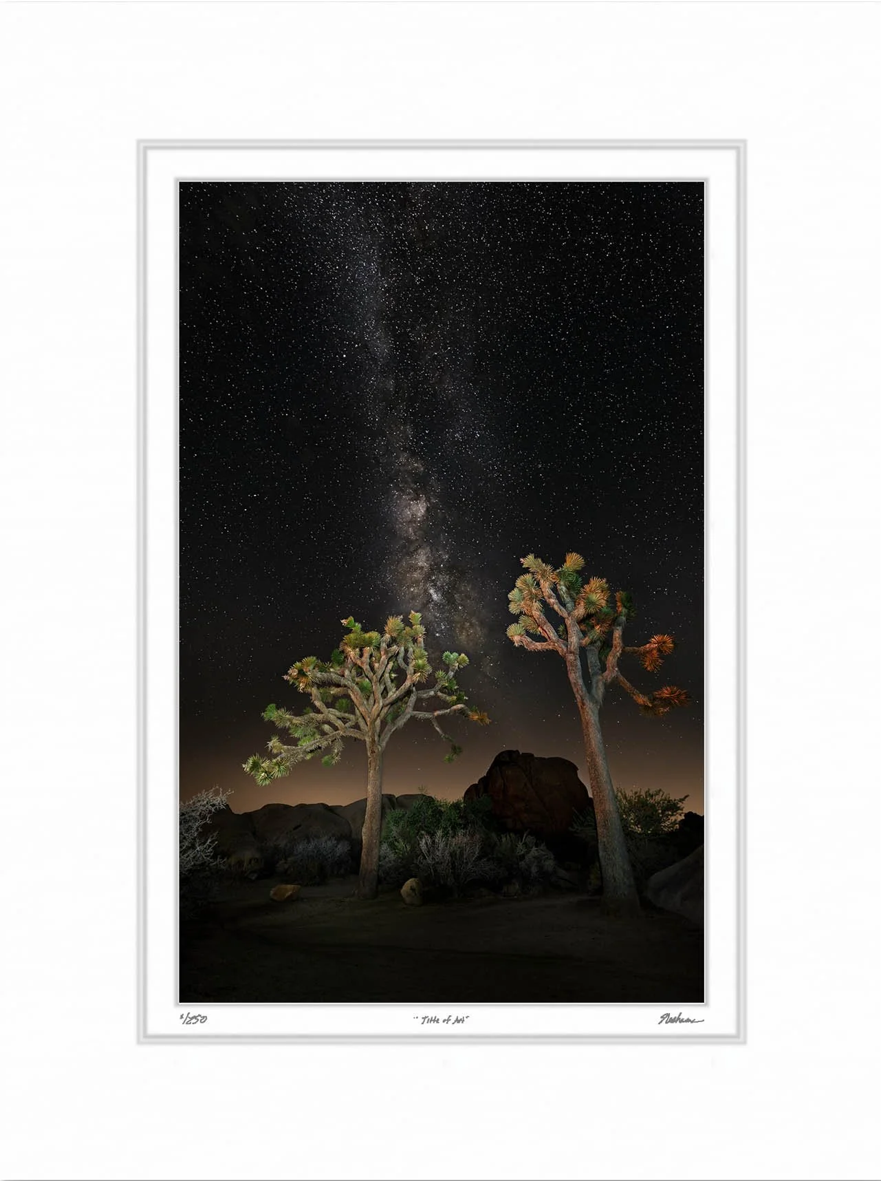 Together Under the Milky Way.jpg