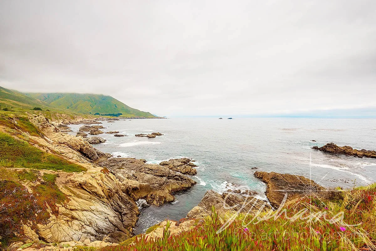 Upwelling | Carmel, CA