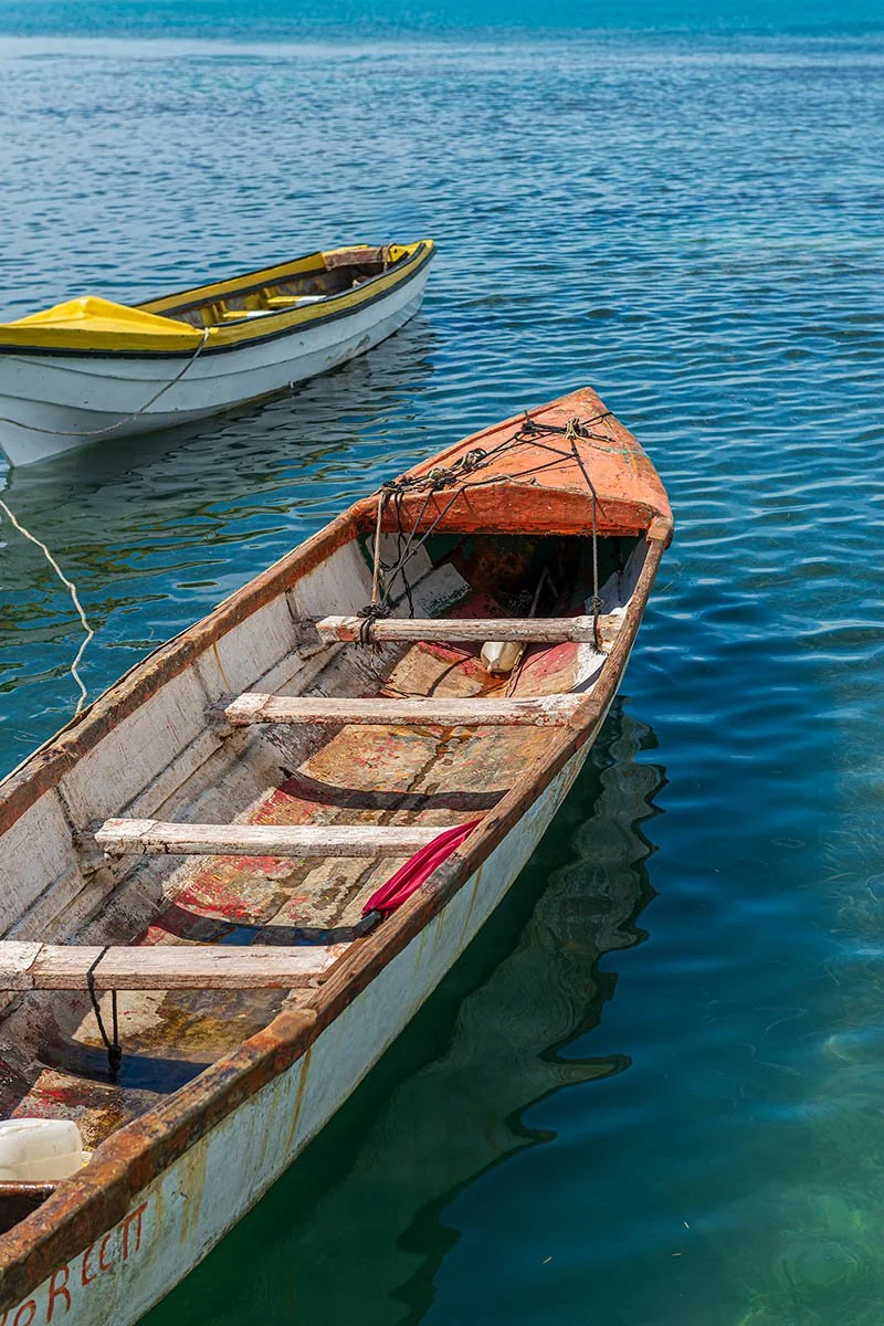 Companions at Sea | Jamaica