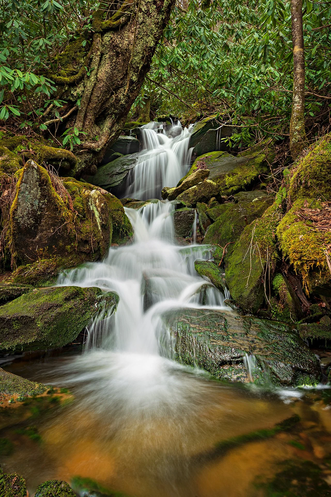 Great Smoky Mountains Cascade | Great Smoky Mountains National Park, TN