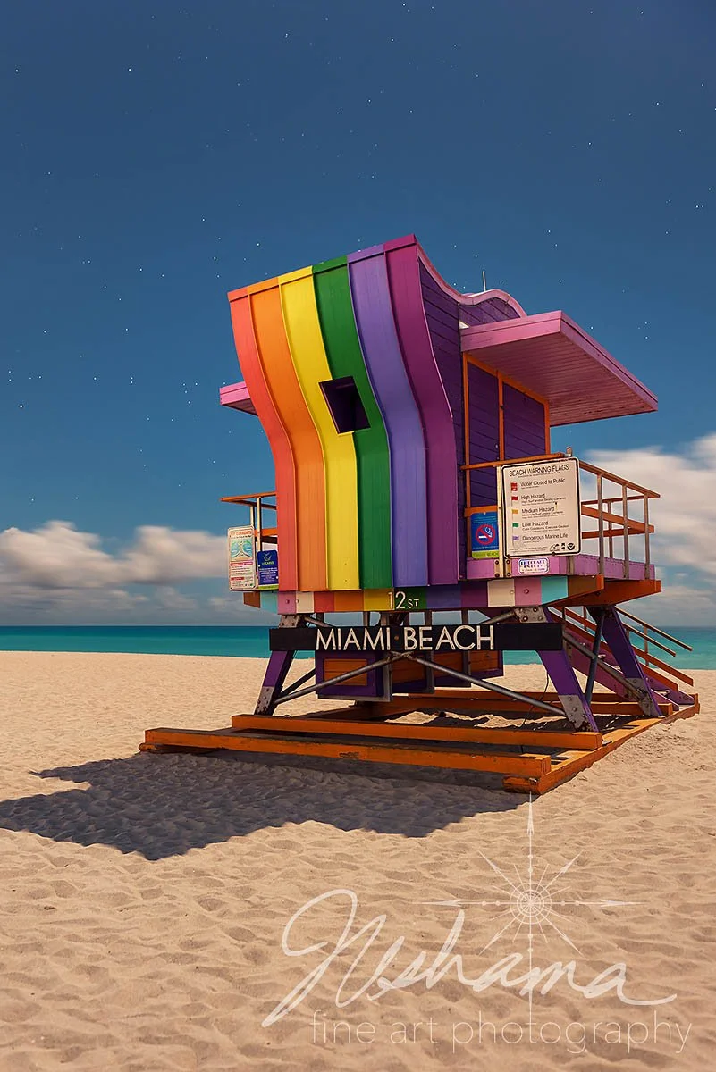 Moonlighting in Miami.jpg