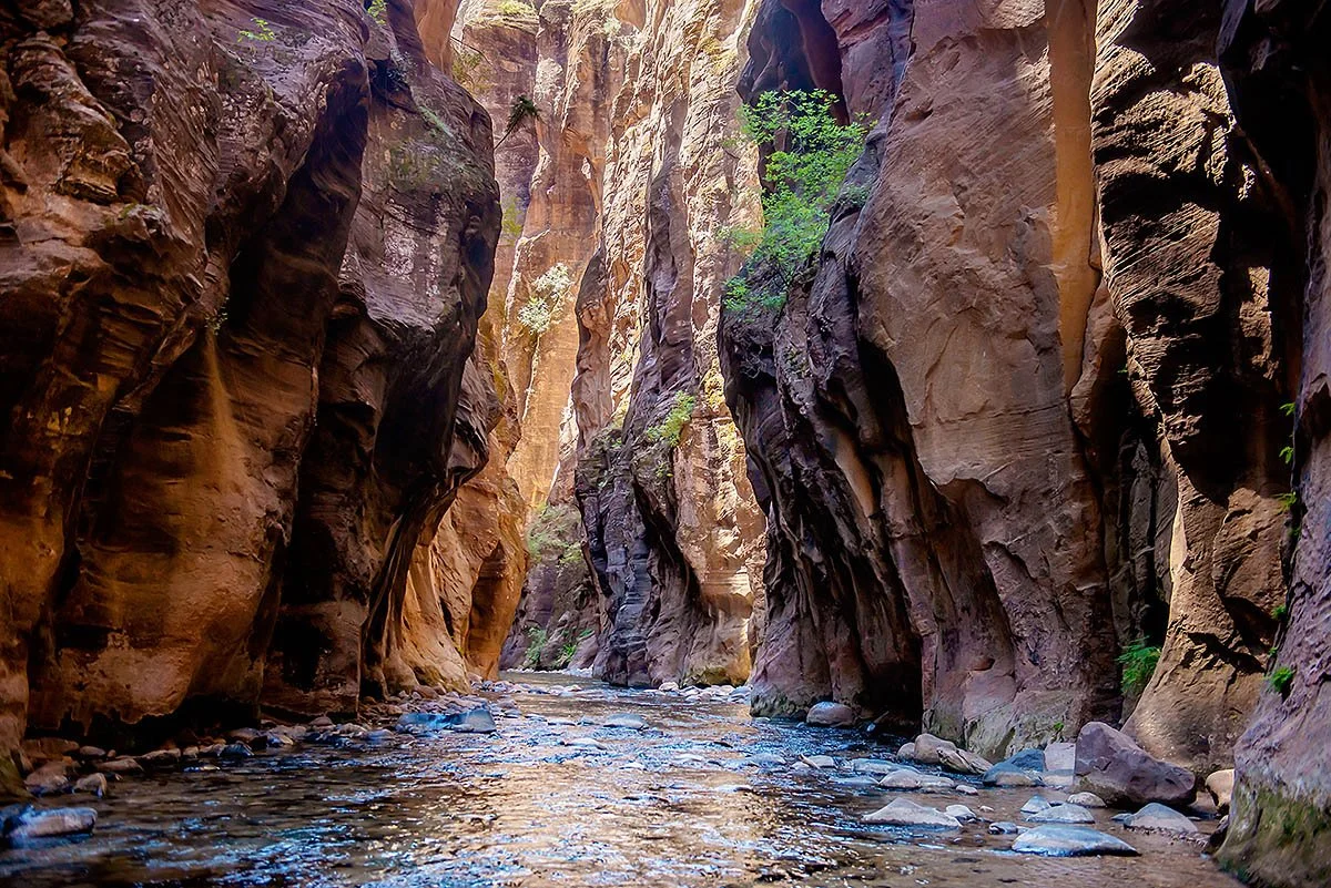 Stepping Through Time.jpg