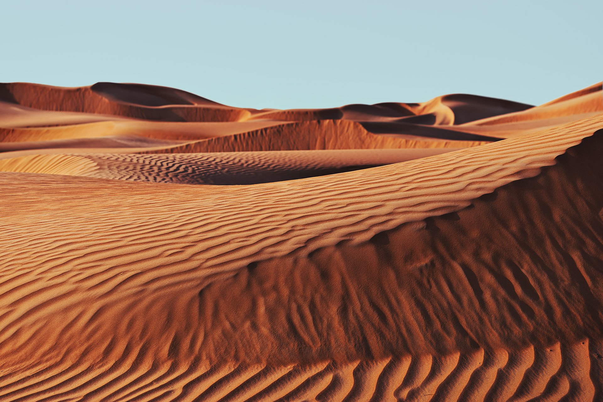 Forgotten Textures.jpg