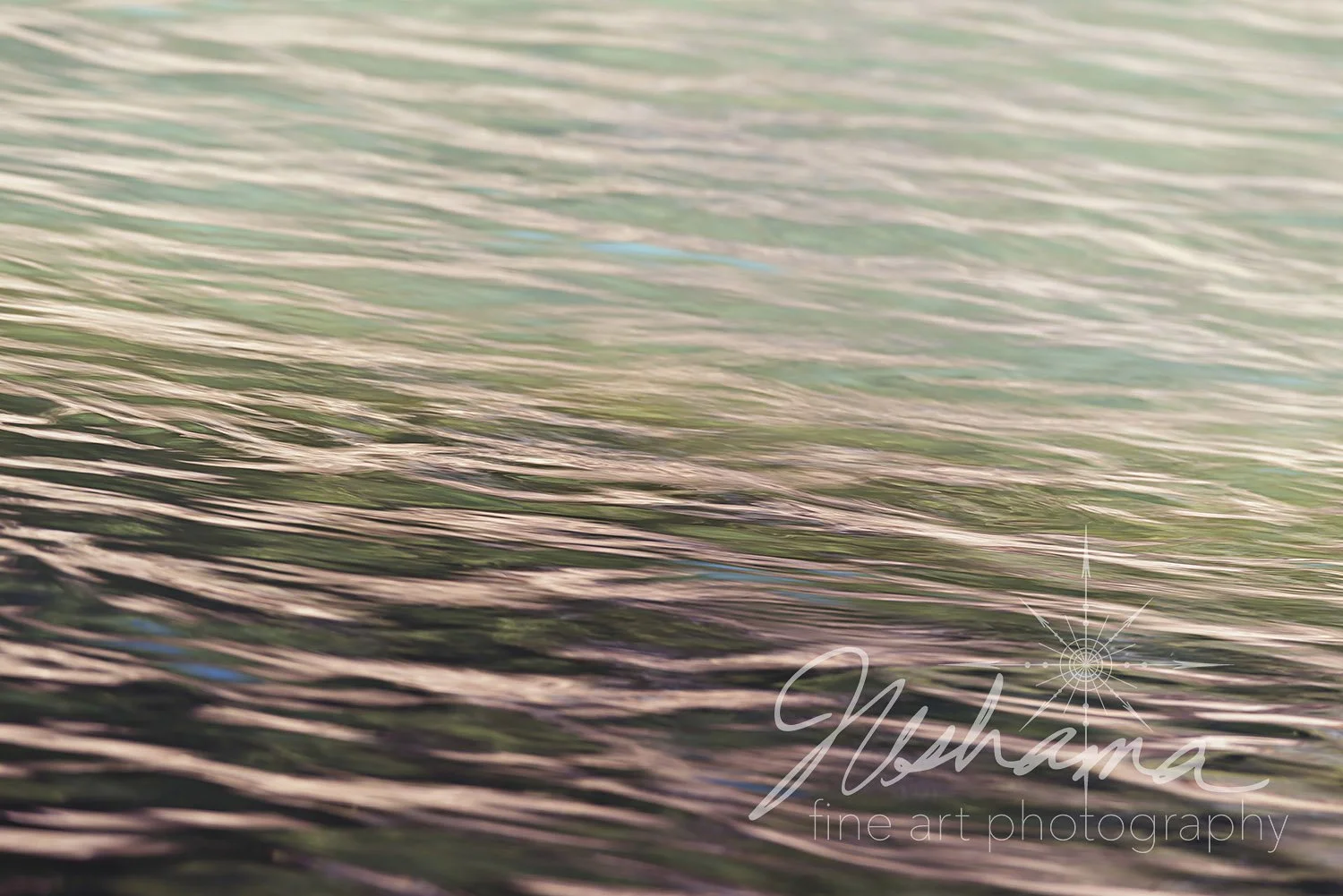 Daydreams on the Eleven Point River | Ozark National Scenic Riverways, MO