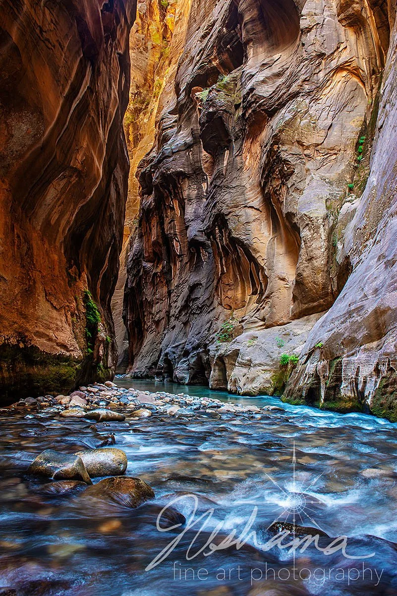 The Narrows | Zion National Park, UT | 2025 PPA MERIT AWARD