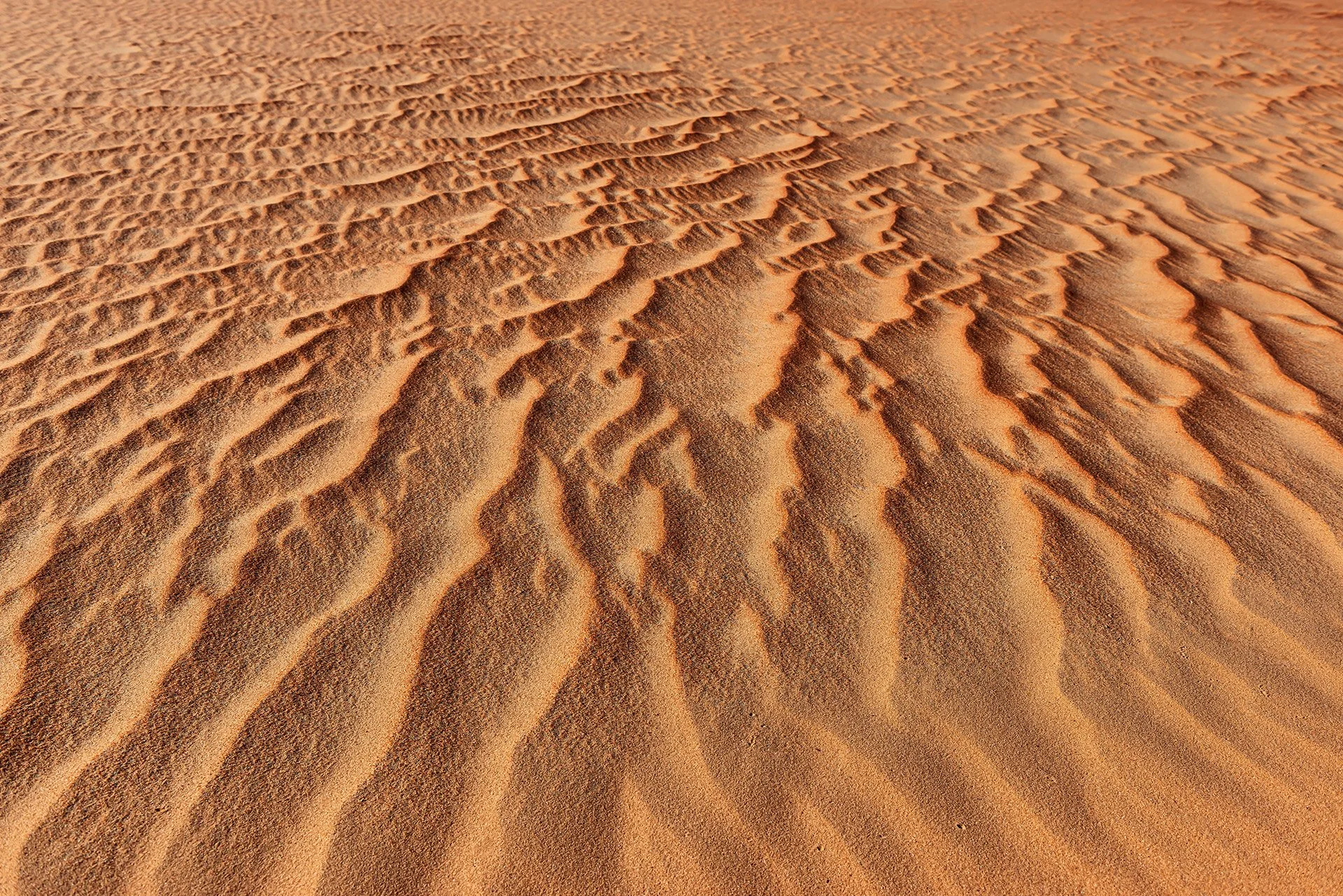 Tapestry of Time.jpg