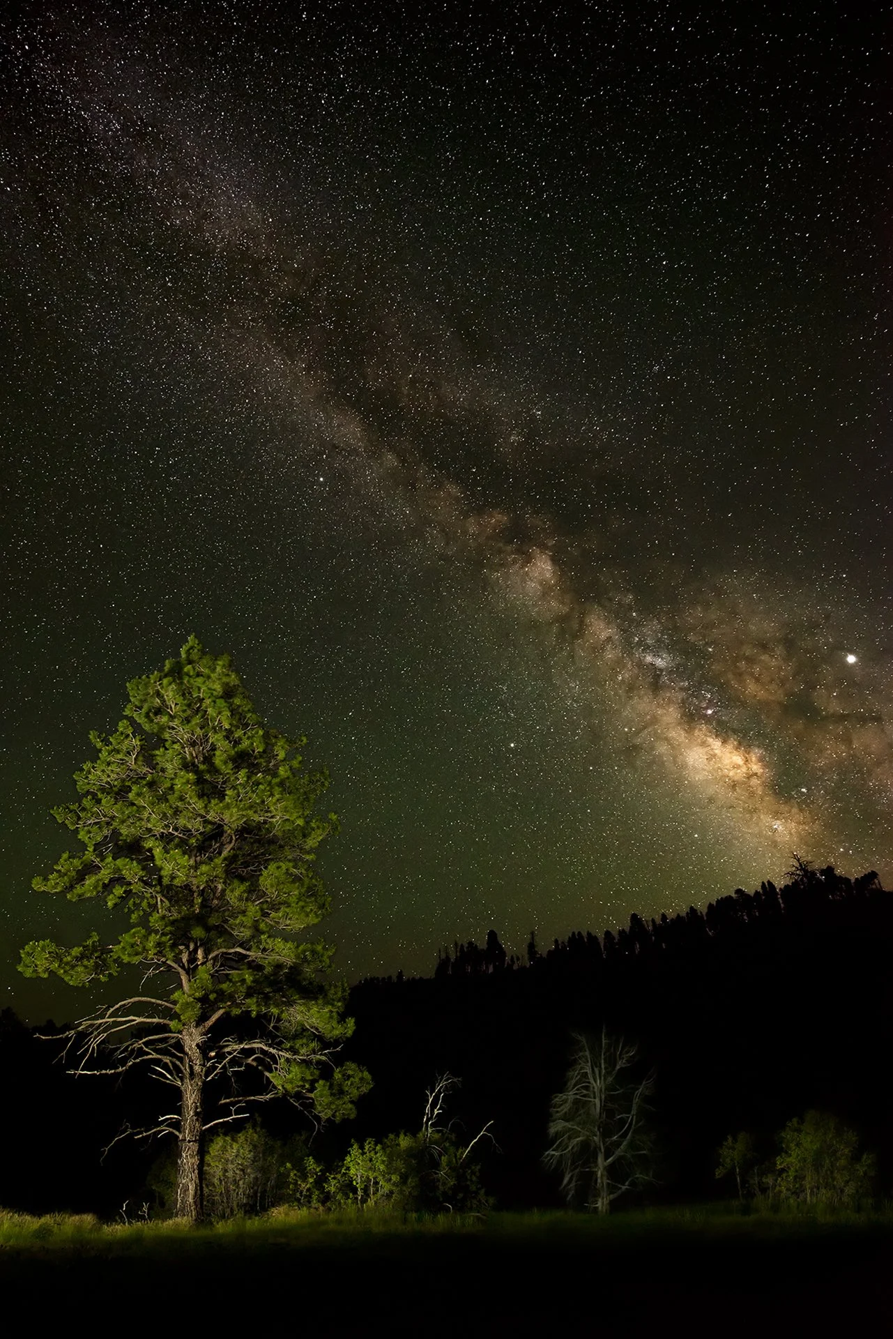 Astrophotography