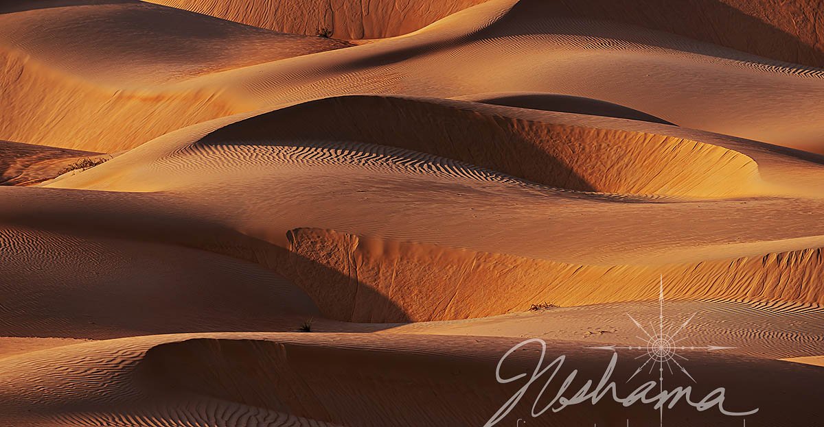 Dancing with Light | Abu Dhabi, United Arab Emirates 