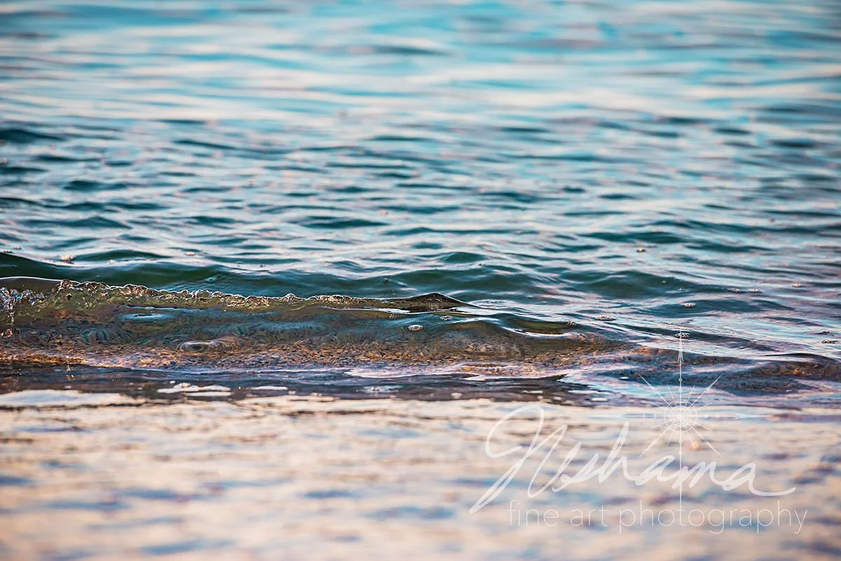 Ocean Calm | Cayo Costa State Park, FL