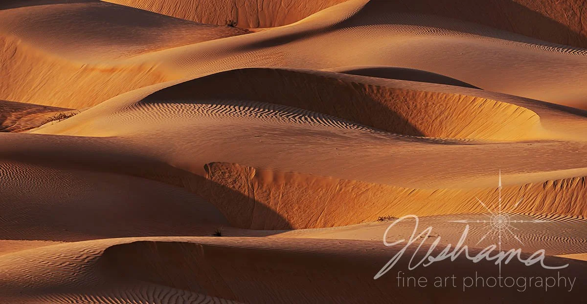 Dancing with Light | Abu Dhabi, United Arab Emirates 