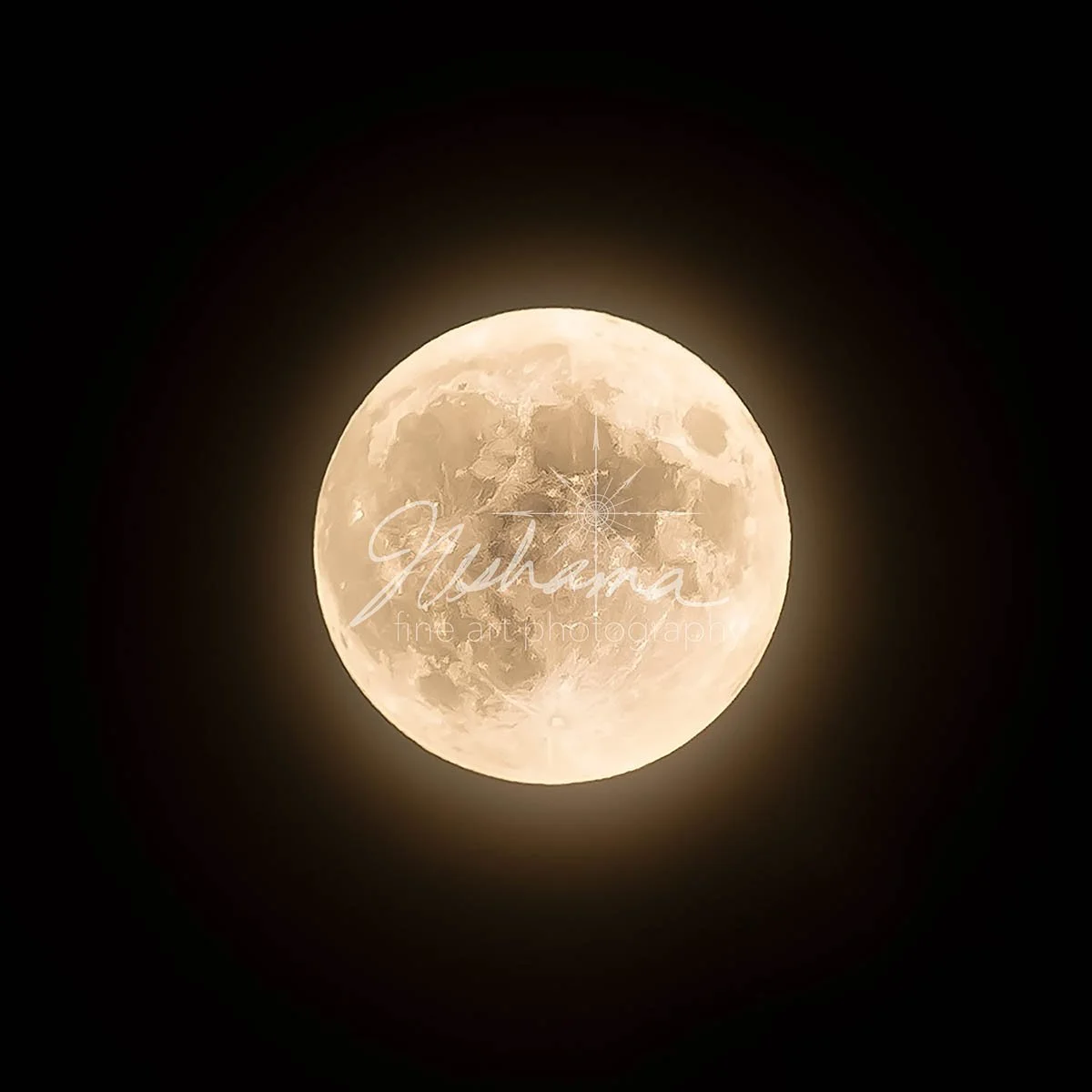 Full Moon in Fog | Salem, MO