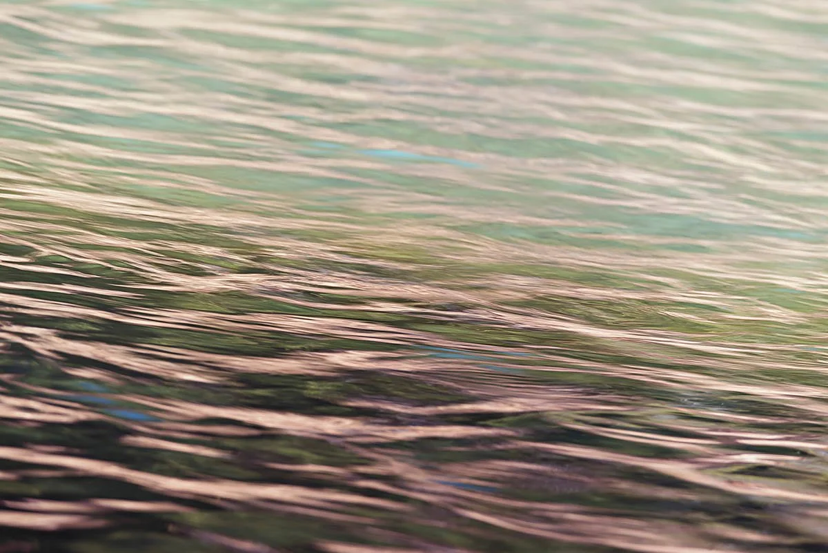 Daydreams on the Eleven Point River.jpg