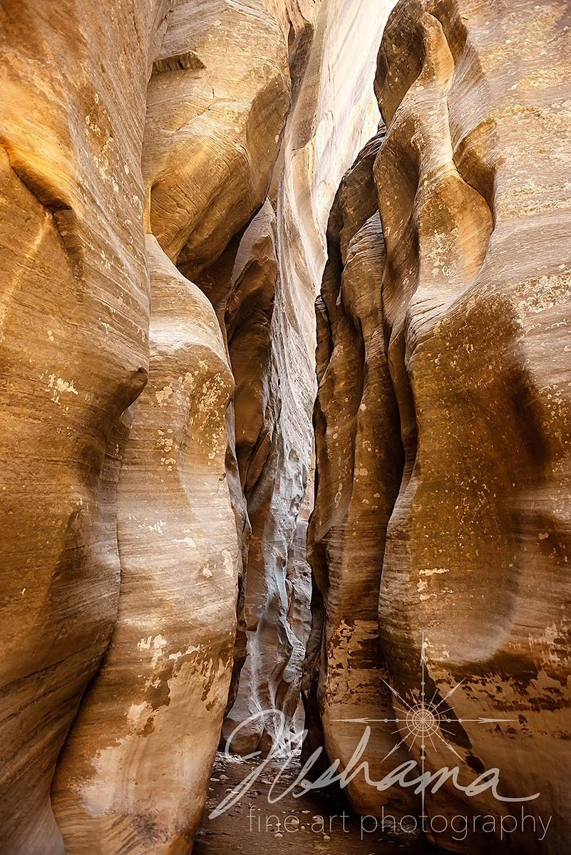 Zion Slot Canyon | Zion National Park, UT