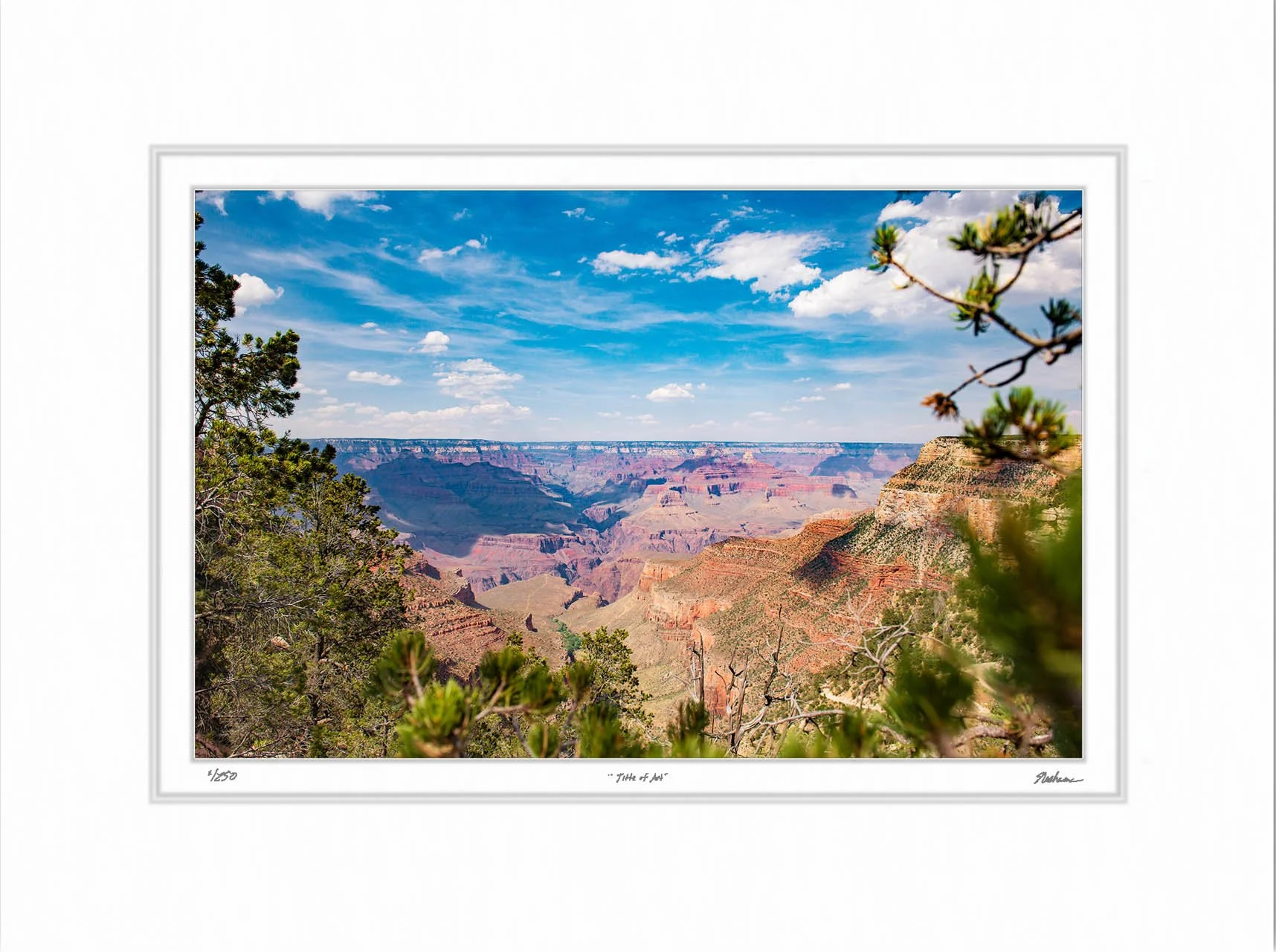 Peaking Through Kaibab National Forest.jpg