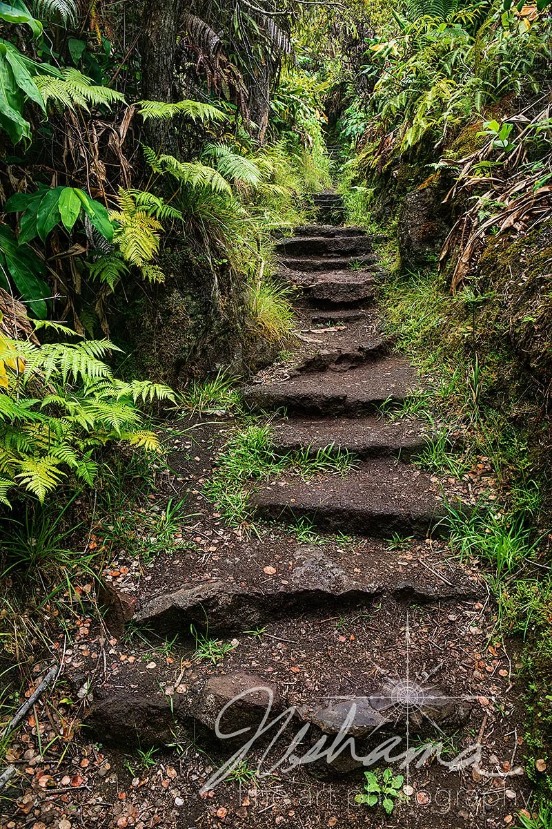 Consciousness Rising | Hawaii Volcanoes National Park, HI