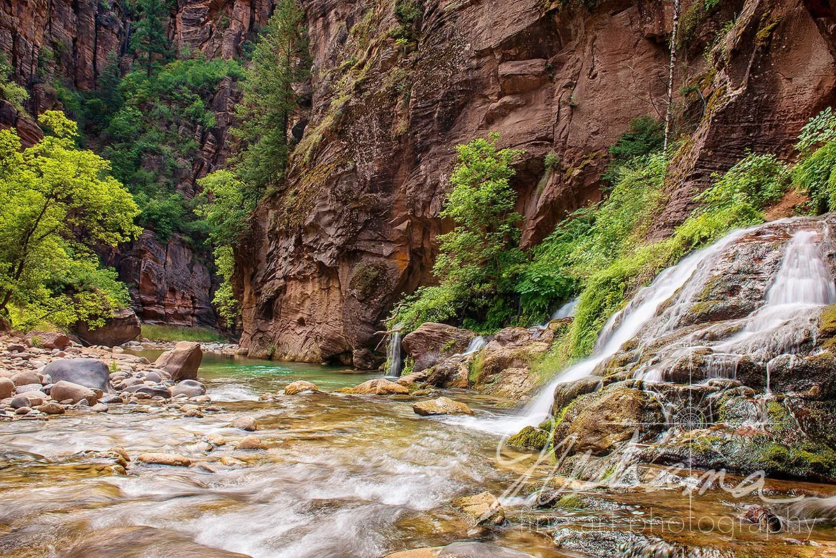 Zion Hidden Paradise | Zion National Park, UT