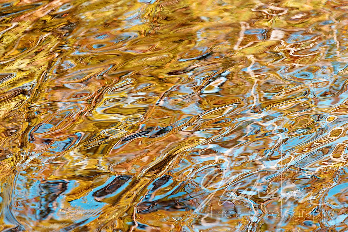 Liquid Colors | Big Lagoon State Park, FL