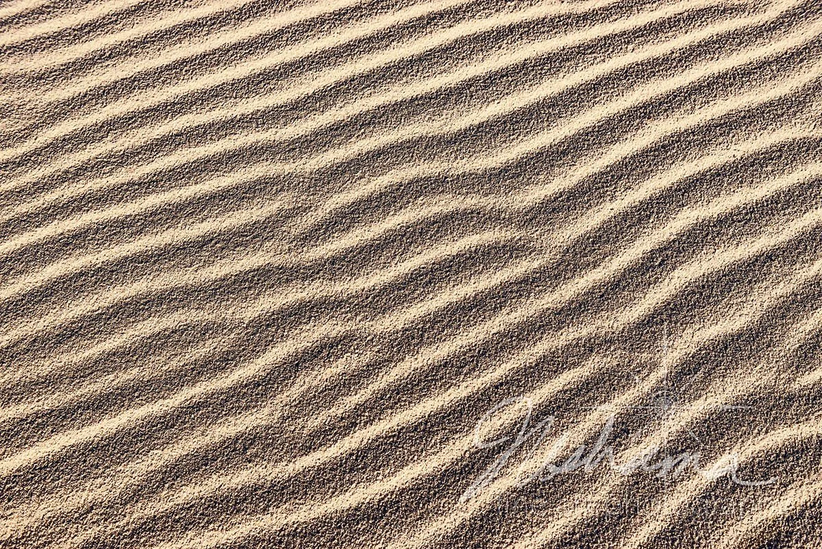 Waves in the Sand | Fort Pickens State Park, FL