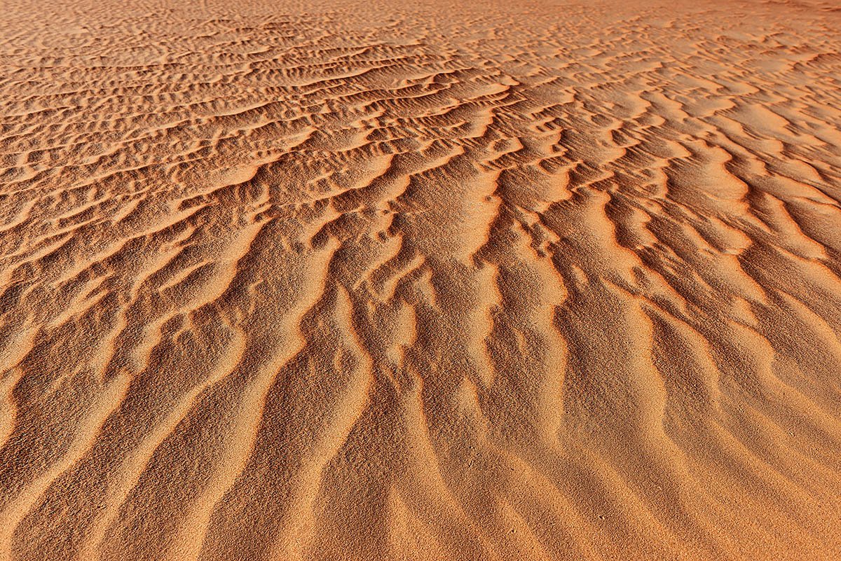 Tapestry of Time.jpg