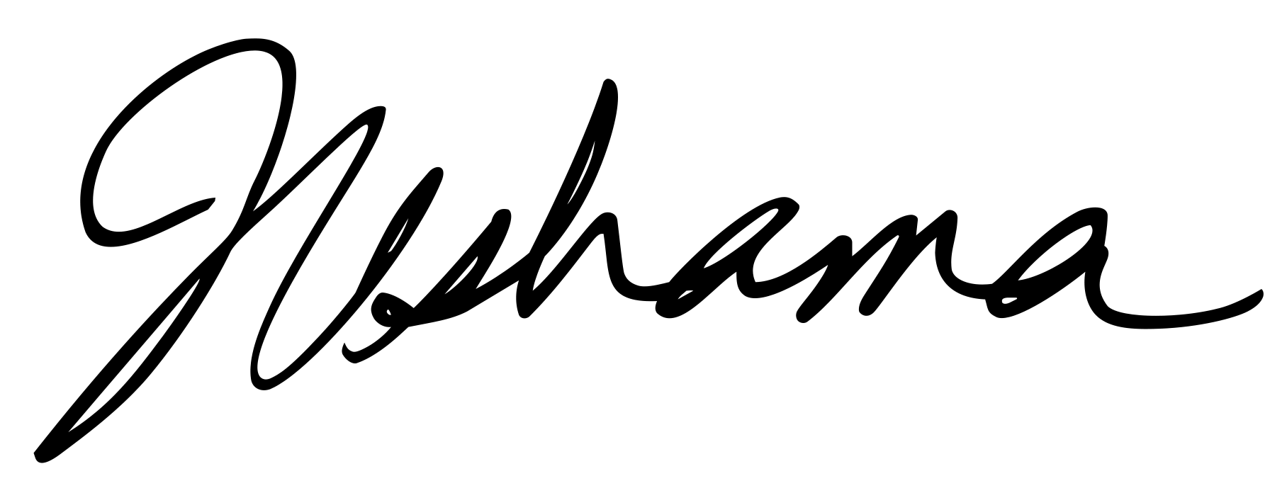 Black hand-written artist signature.