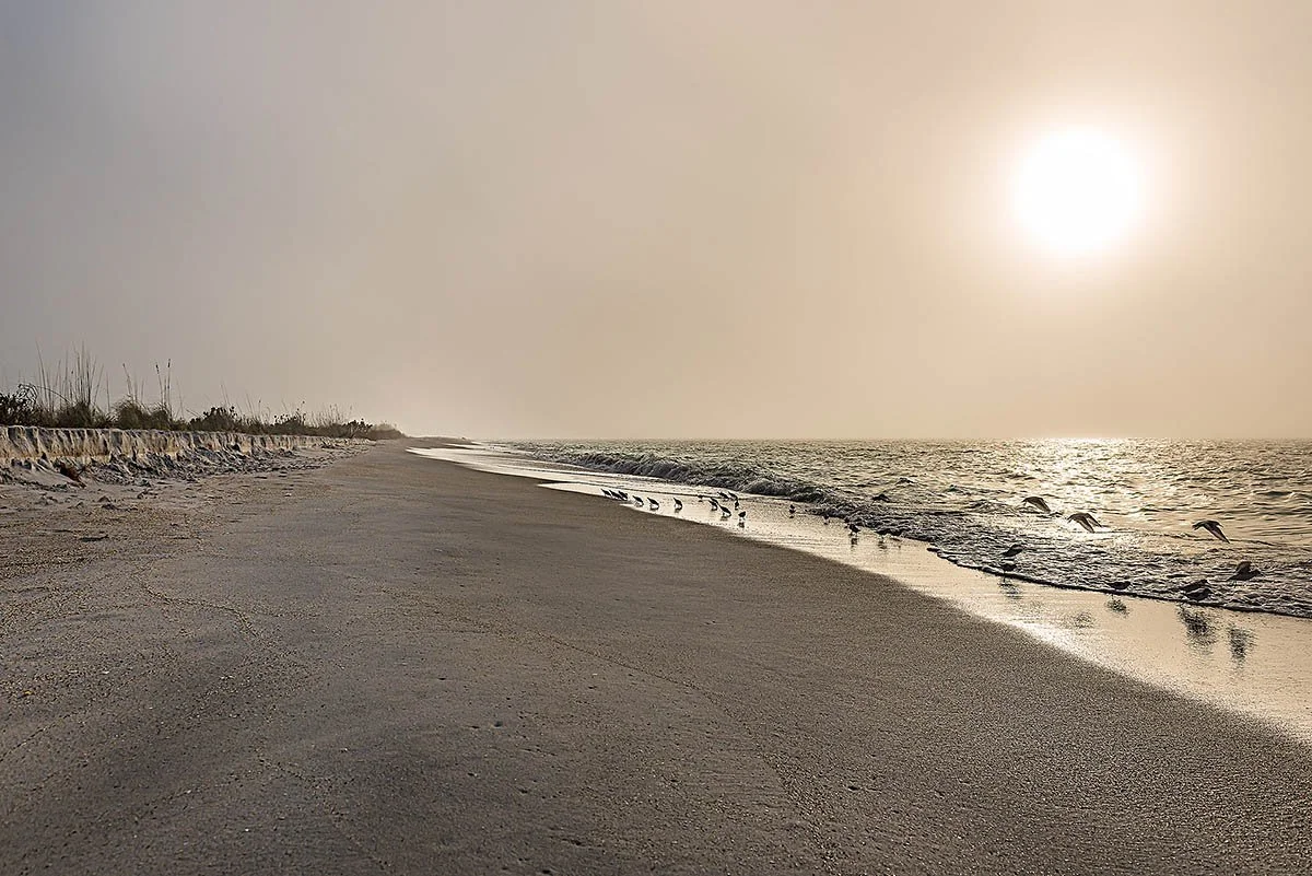 Foggy Sunset on Cayo Costa Island.jpg