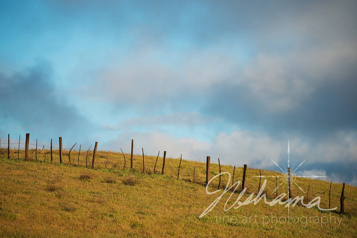 Barbed Wire Fence | Carrizo Plains National Monument, CA