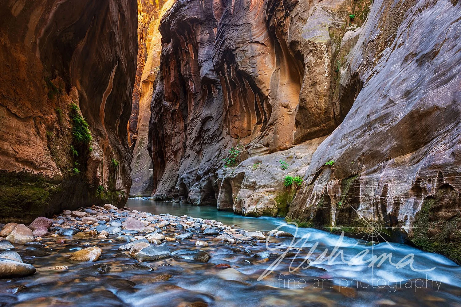 Wall Street | Zion National Park, UT | 2025 PPA MERIT AWARD
