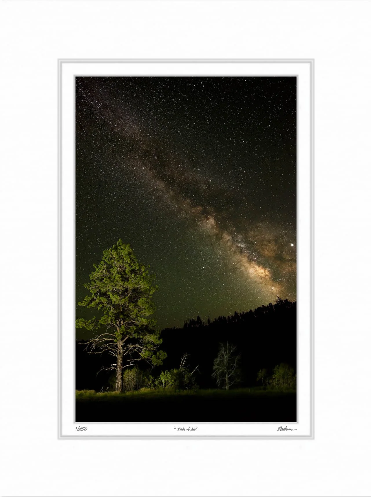 Milky Way on the West Rim Trail.jpg