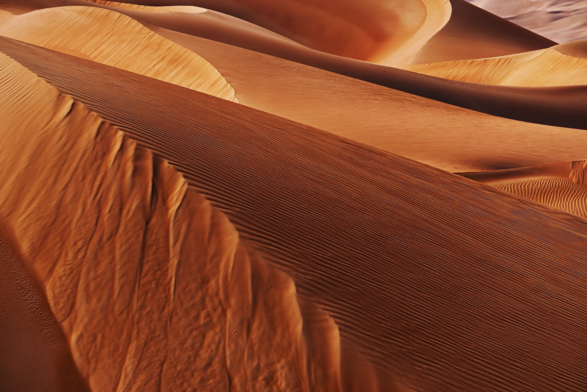 Wind Carved Majesty.jpg