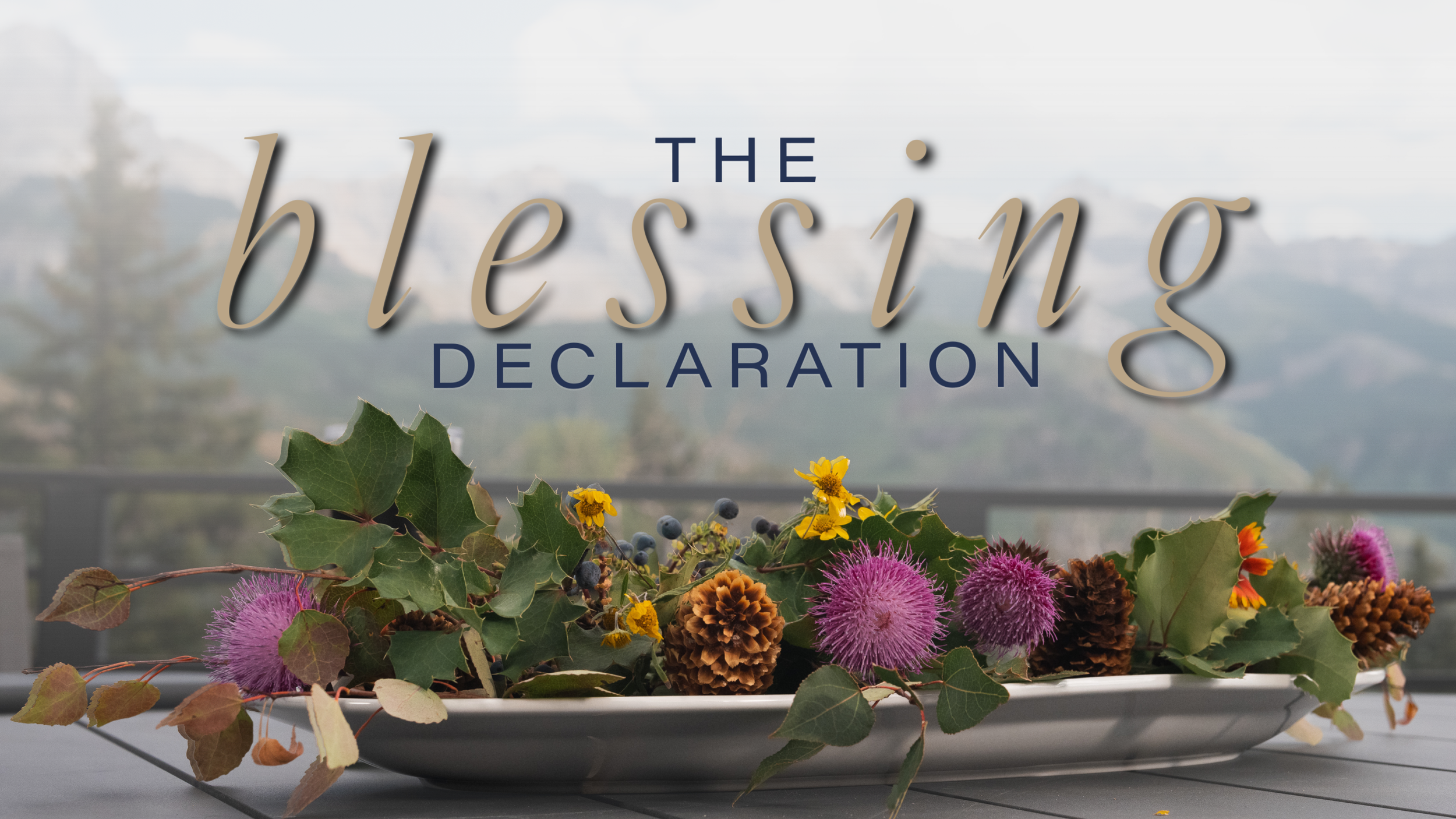 The Blessing Declaration