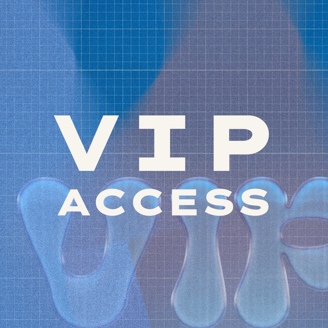 VIP Vision & Velocity