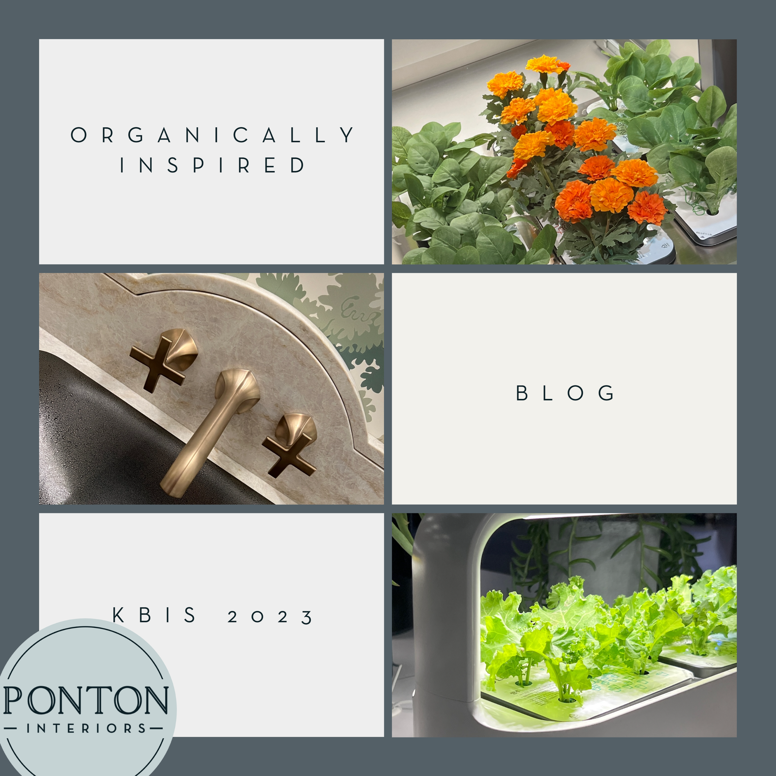 Organically Inspired at KBIS 2023