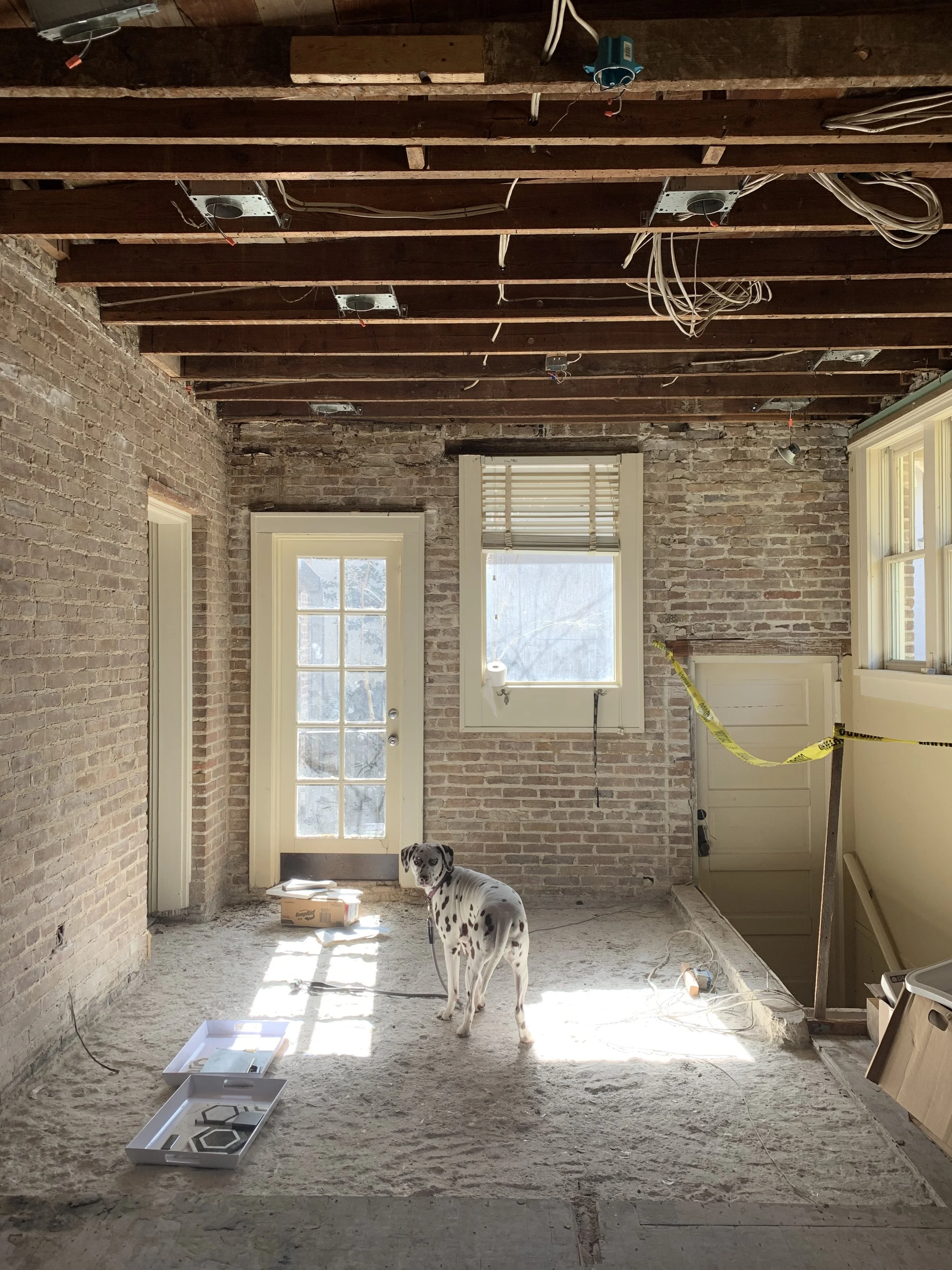 Photo Jan 19, 12 26 16 PM.jpg