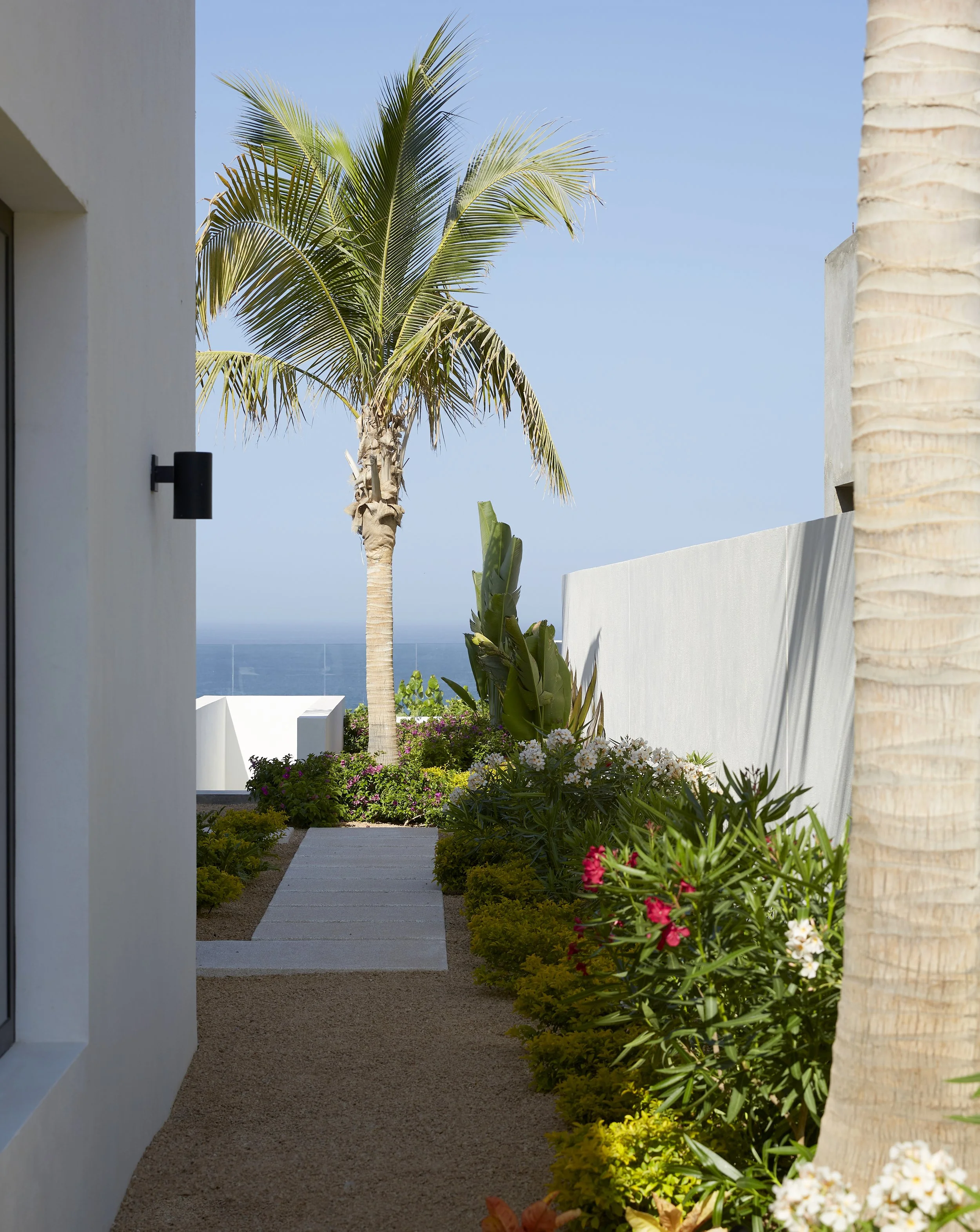 1. cabo referene exterior paint time of day.jpg